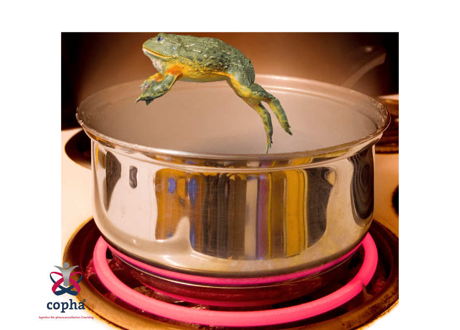 Das Herdplatten-Modell – Jump and leave it!