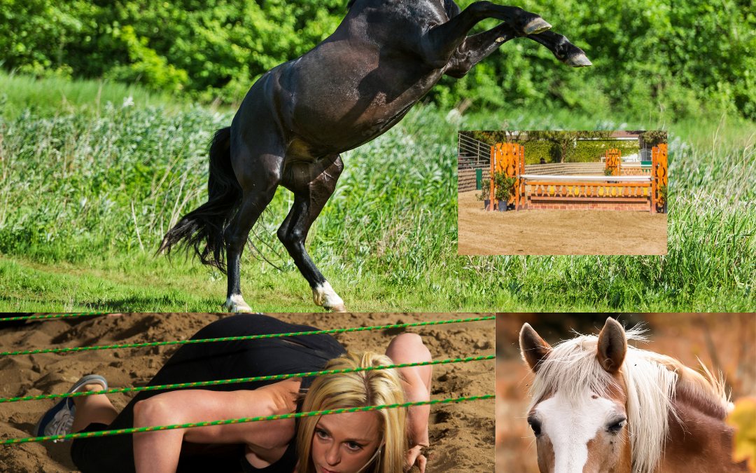 🛵🩼💃 My way …. Unfall – OP – Reha – Stand der Dinge Tag 4 – 🐎🎢🌋