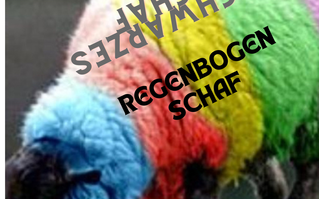 🛵🩼💃 My way …. Unfall – OP – Reha – Stand der Dinge Tag 3 – 🤝🌈🐑